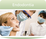 Endodontia